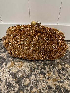 Zara Clutch Purse